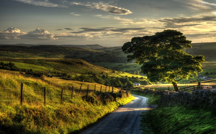 Winding road through rolling green hills at sunset