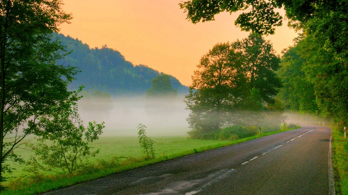 Road through a misty forest at sunrise