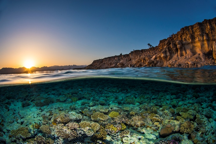 Split view of coral reef and sunset over rocky cliffs