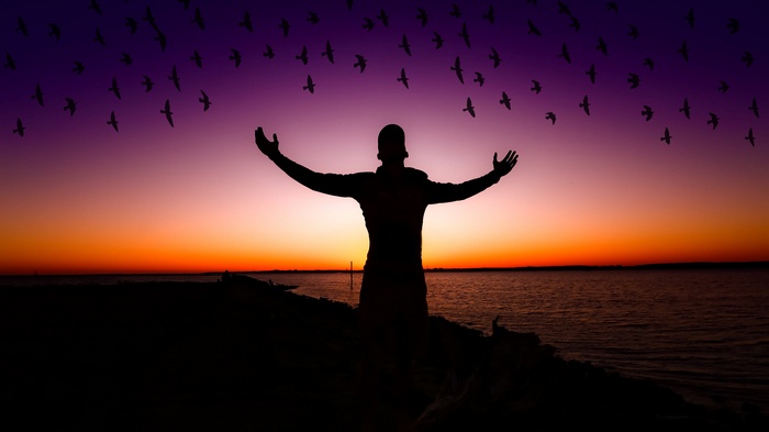 Silhouette of a person with arms outstretched at sunset with birds flying
