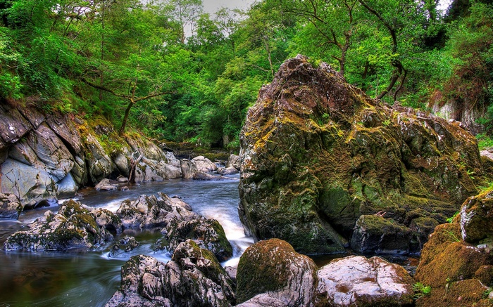 River flowing through a rocky forest with mossy boulders