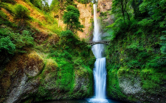 Multnomah Falls in Oregon