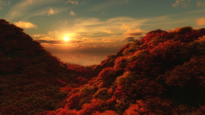 4K Sunrise over Autumn Forest