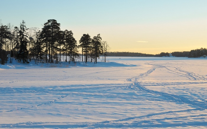 Snowy landscape with trees and tracks