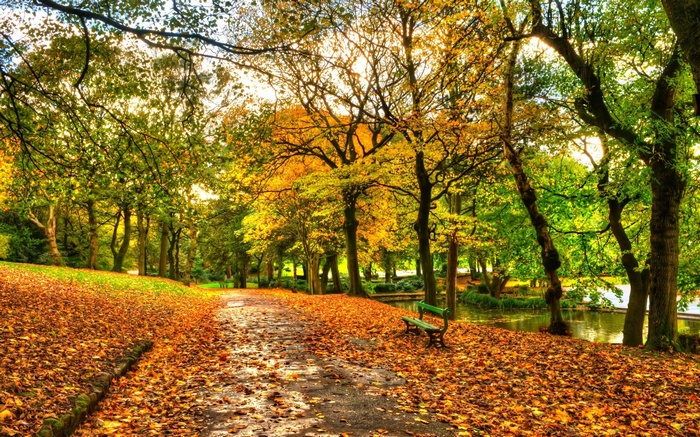 Autumn park path with fallen leaves and a bench