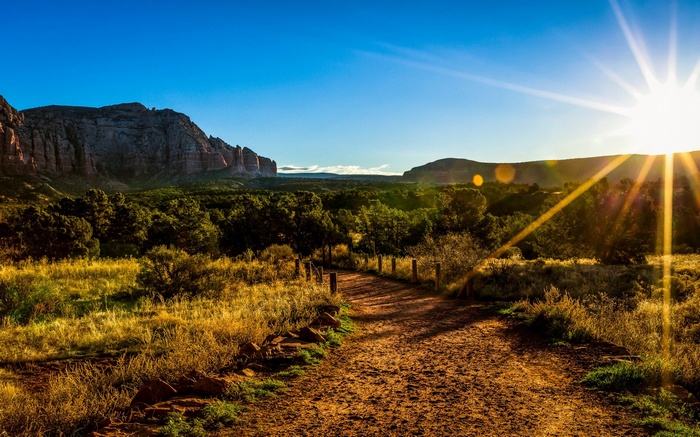 Dirt path through a sunlit desert landscape with mountains