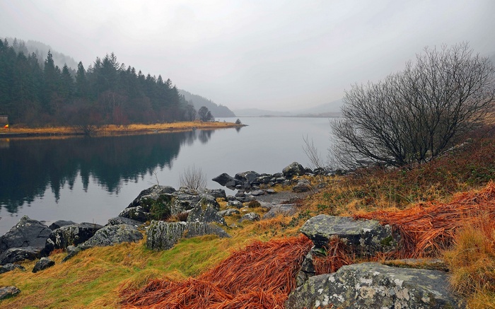 Misty lake with forest and rocky shore