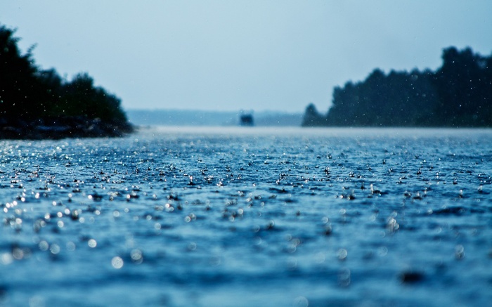 Rain falling on a lake with trees in the background