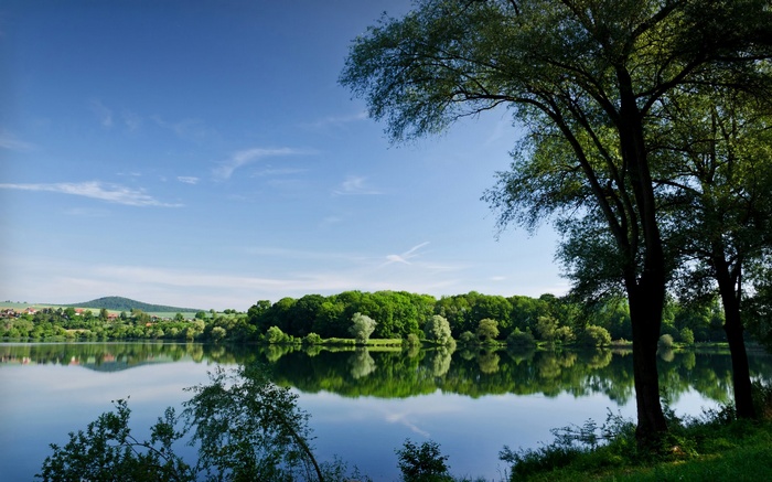 Lake with trees and reflections under a blue sky