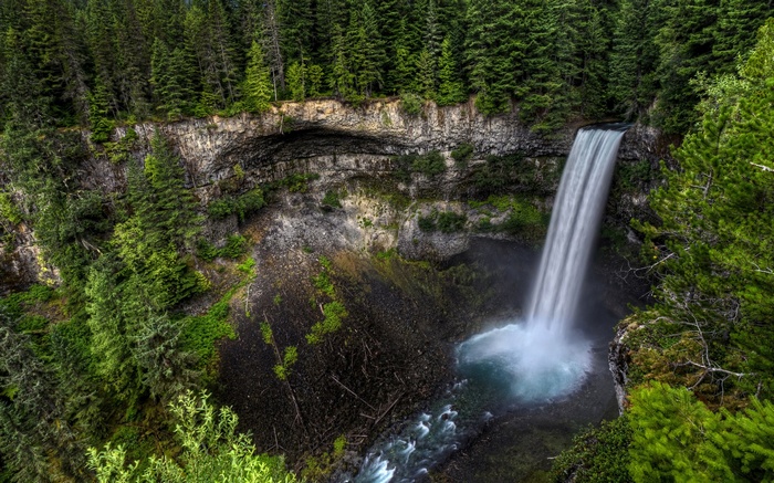 Waterfall cascading into a pool surrounded by forest