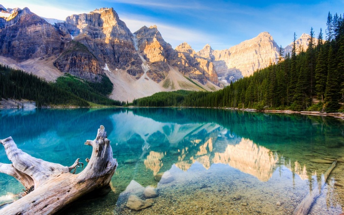 Moraine Lake with Mountains and Forest