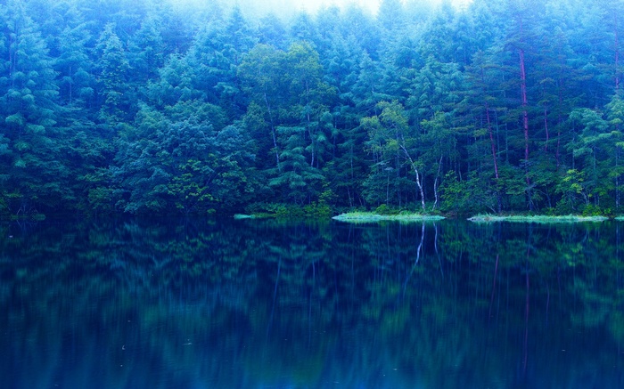 Misty forest reflected in a dark lake
