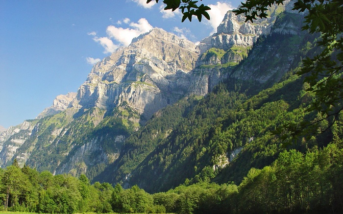 Mountain range with green forest and blue sky