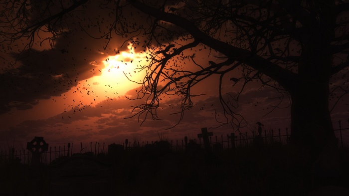 Cemetery at sunset with flock of birds