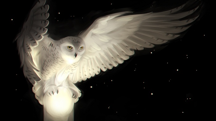Artwork of a white owl with wings spread