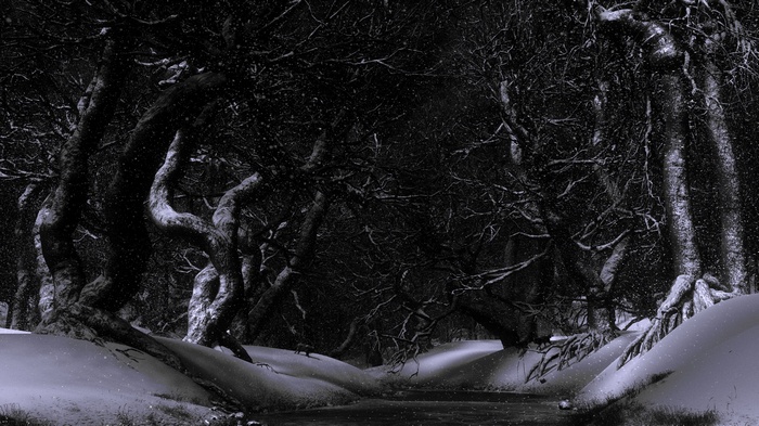 Snowy forest with gnarled trees and a stream
