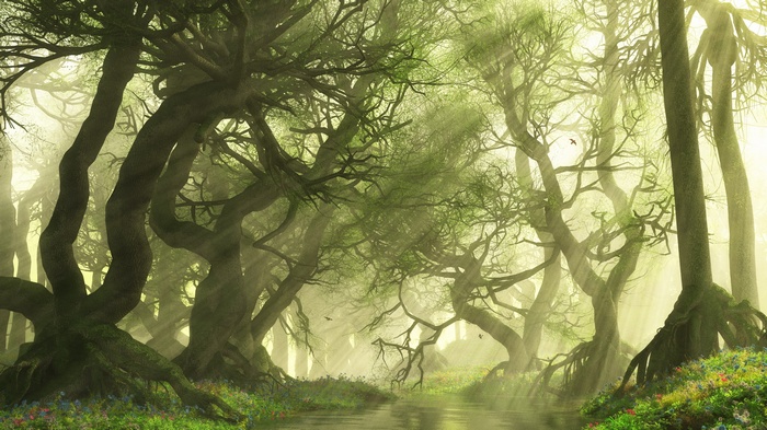 Sunlight filtering through a mystical forest with a stream