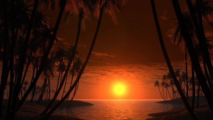 Sunset over the ocean with palm trees