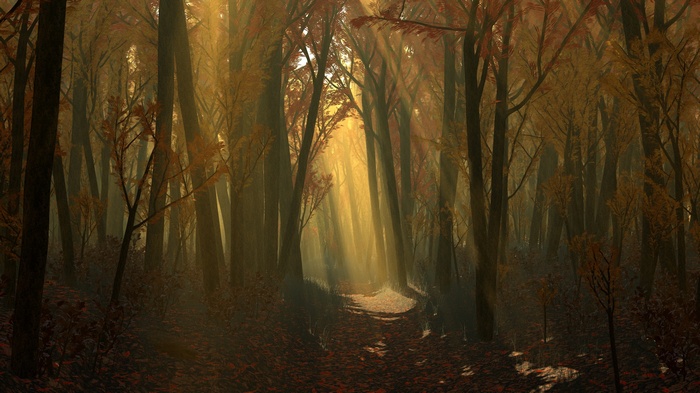 Sunlight filtering through an autumn forest path