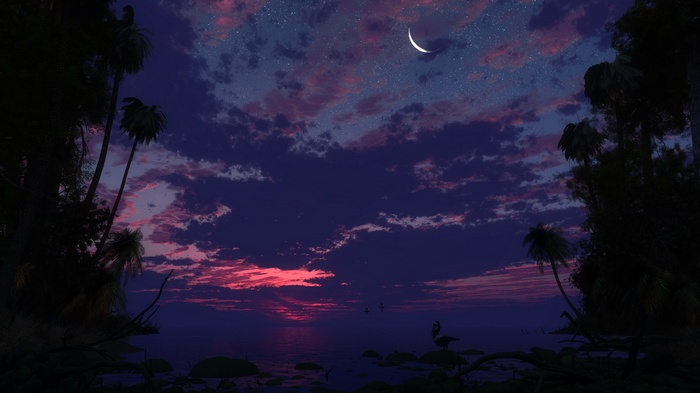 Tropical sunset over the ocean with palm trees