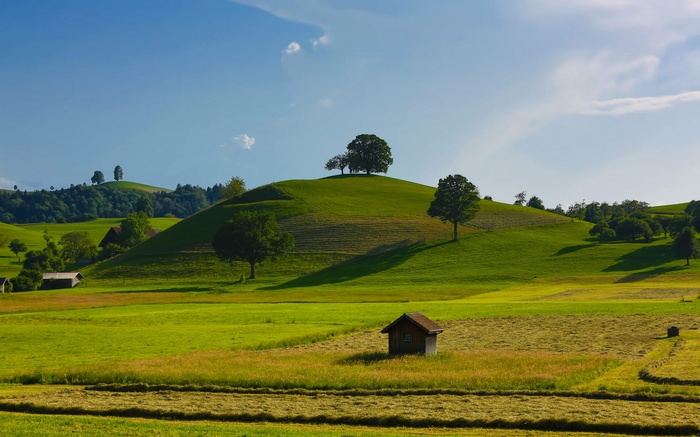 Rolling green hills with trees and a small shed