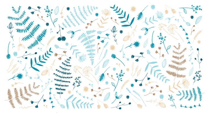 Minimalist botanical illustration of leaves and flowers