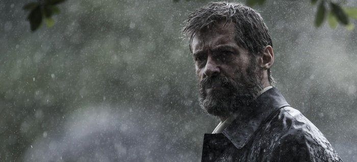 Logan in the rain