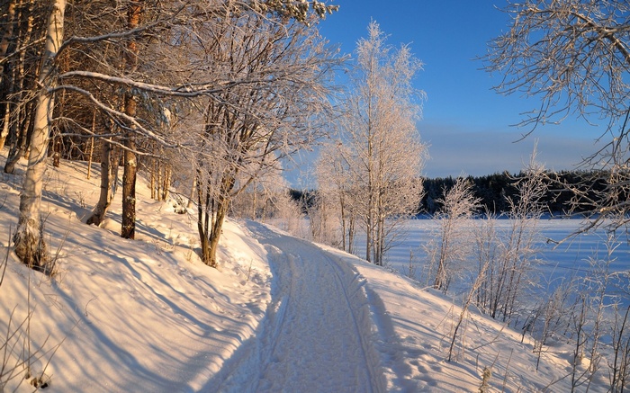 Snowy path through a frosted forest by a frozen lake