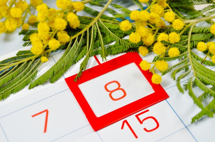March 8th Calendar with Mimosa Flowers