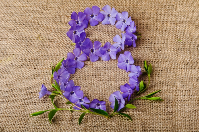 Number 8 made of purple flowers for Women's Day