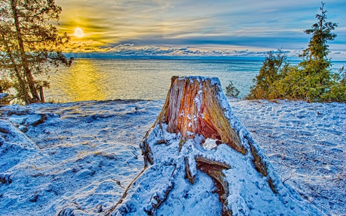 Snowy tree stump by a lake at sunset