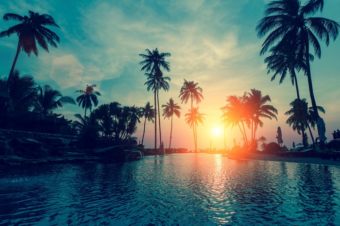 Sunset, Tropical beach, Palm trees