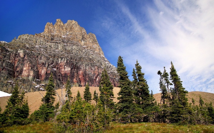 Mountain peak with pine trees and blue sky