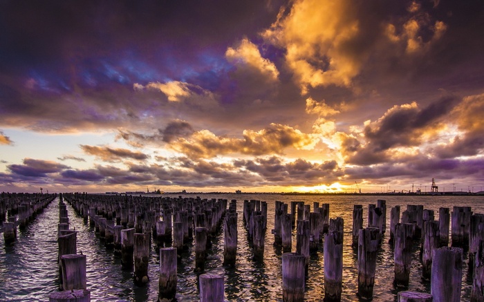 Wooden pilings in the water at sunset