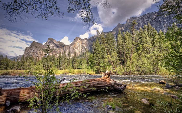 River flowing past trees and mountains
