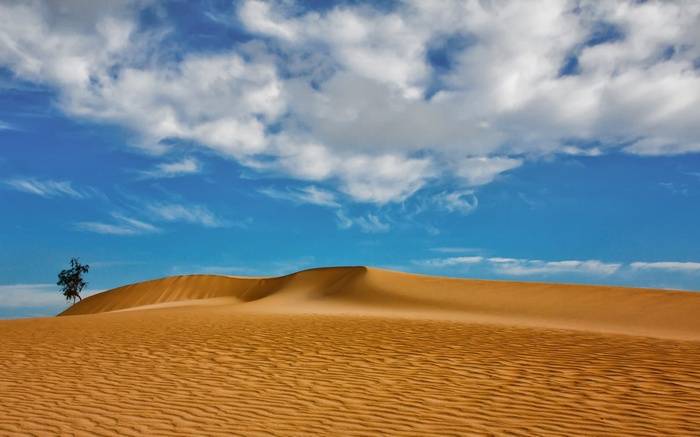 Desert dunes with a lone tree under a cloudy sky
