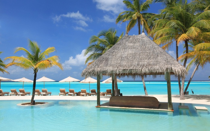 Tropical resort with pool and beach