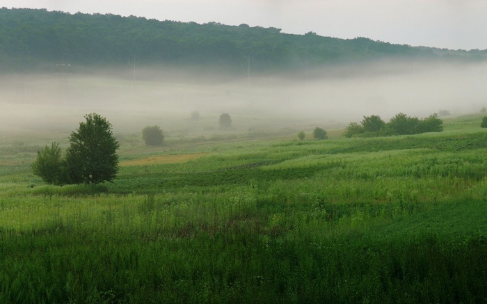 Misty morning over green rolling hills and forest