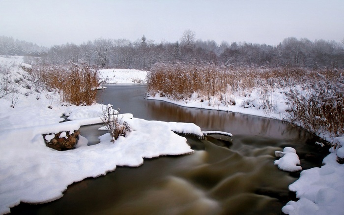 Winter river with snow and reeds