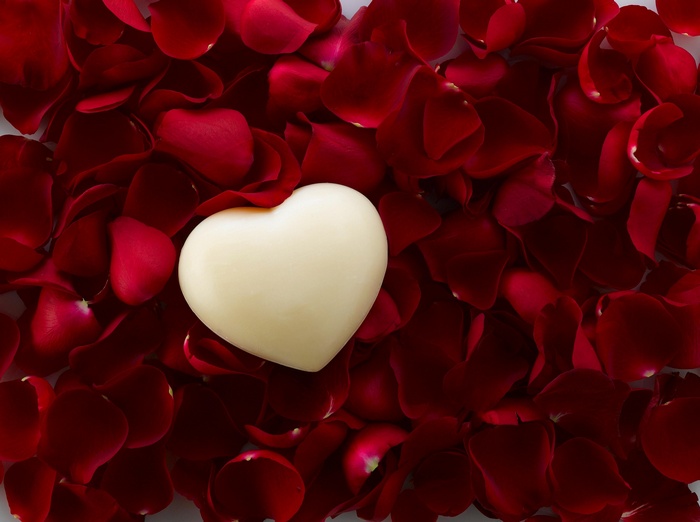 White heart on red rose petals 4K
