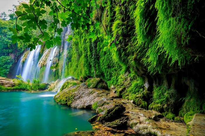 Tropical forest, 4K, Waterfall