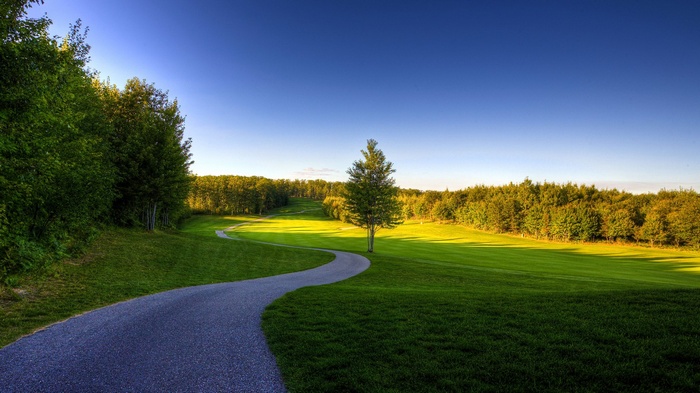 A winding path through a green golf course with trees