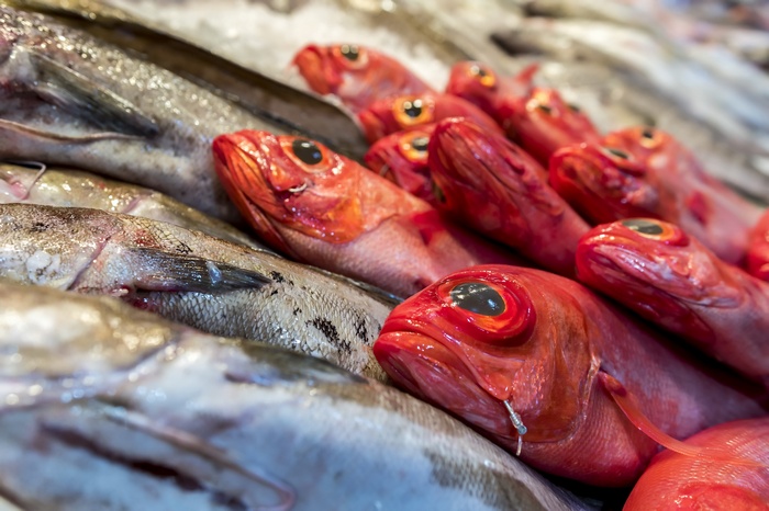 Red fish on display at a market