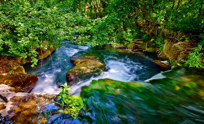 4K Water stream in a forest
