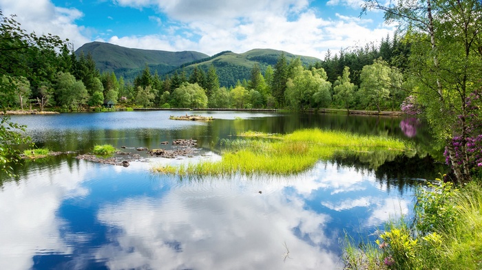 Lake and Mountains with Forest Reflection