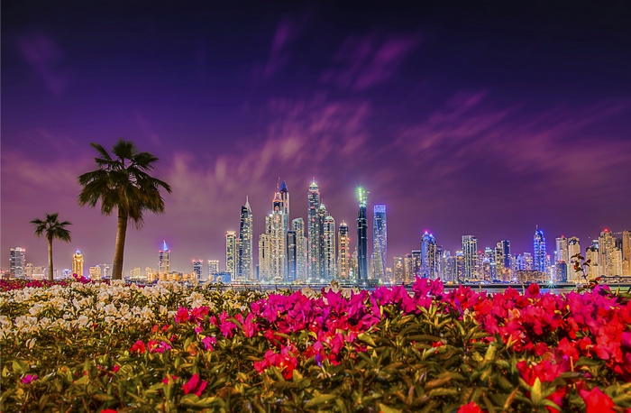Dubai skyline at night with flowers and palm trees