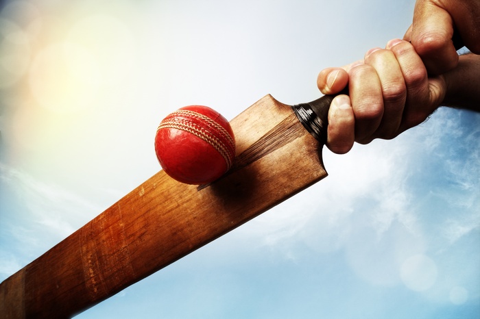 Cricket ball and bat in sunlight