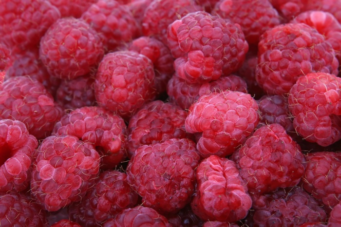 Close-up of fresh raspberries