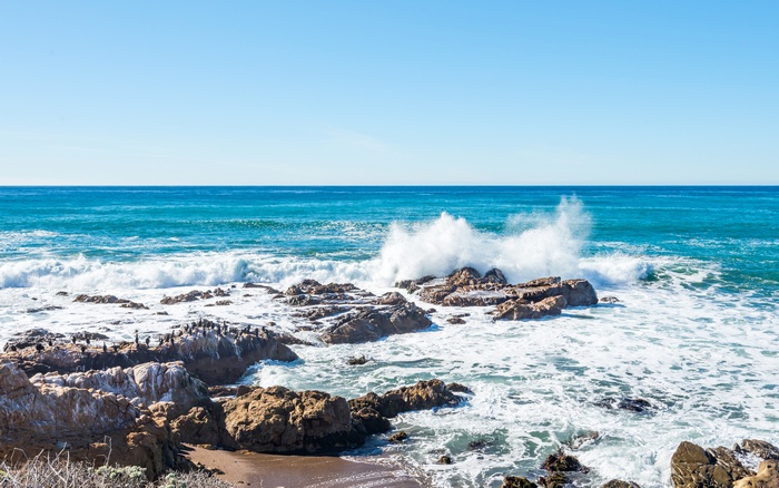 Waves crashing on rocky shore with birds