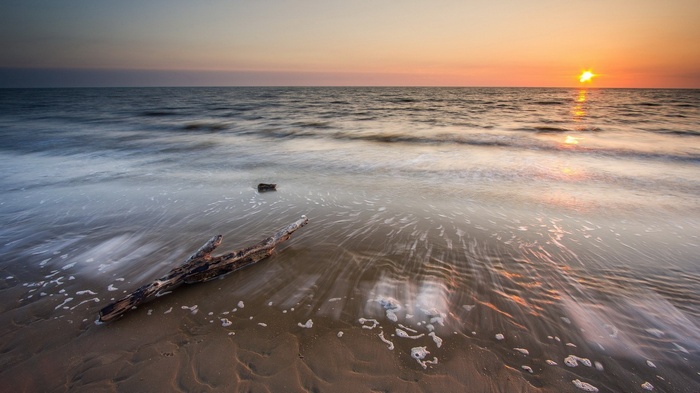 Sunset over the ocean with driftwood on the beach